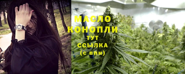 дмт Алексин
